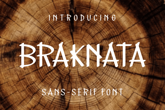 Braknata: A Stylish Sans Serif Font