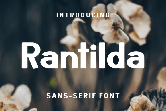 Rantilda Font: Modern Typography for Business