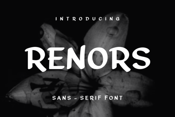 Renors: A Modern Sans Serif Font