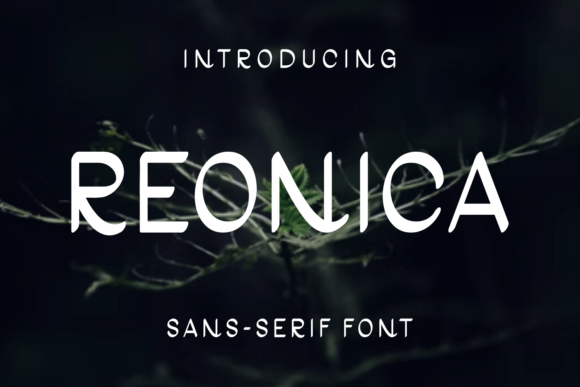 Reonica: A Font for Polished Branding